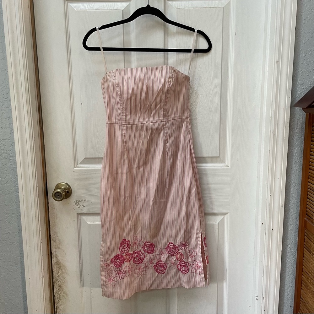 Express Pink Dress